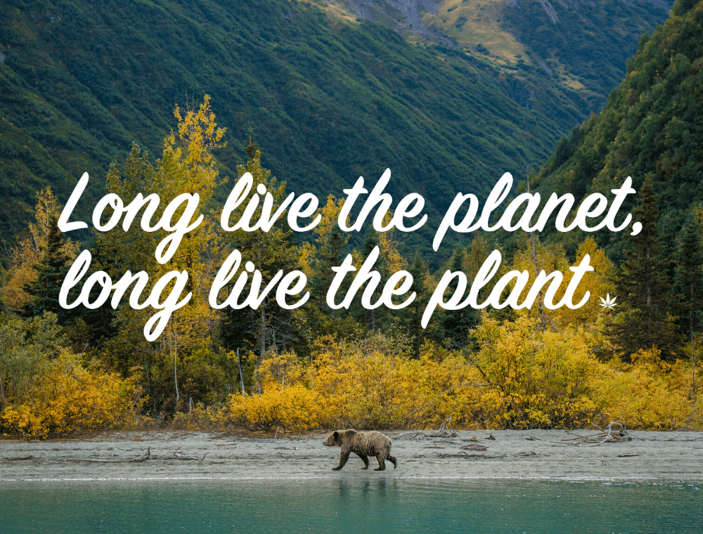 Long live the planet long live the plant