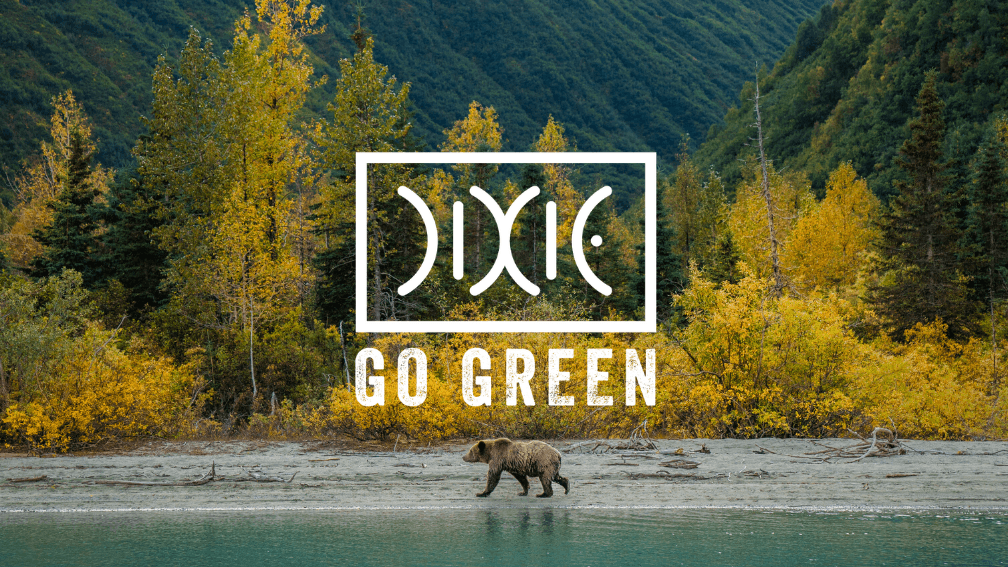 A 6-Month Update on Dixie GO GREEN